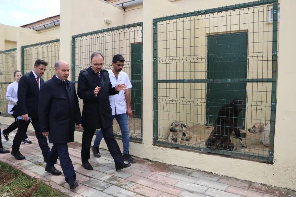 İçişleri Bakan Yardımcısı Mehmet Aktaş
